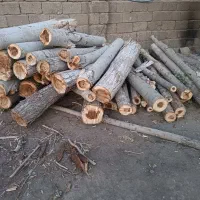 خریدارانواع چوب