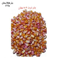 بذر ذرت