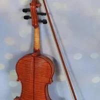 ویلن دوکاسه، شاهکار استاد هوشنگ اکبری