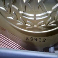 پیانو آکوستیک سالم تازه کوک شده|پیانو، کیبورد، آکاردئون|قزوین, |دیوار