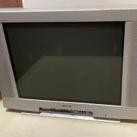 تلوزیون