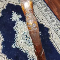 عصای منبت کاری چهره