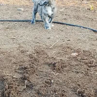 درود بر تمام عشق بازان