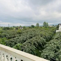 عمارت۲۸۰متری بی همتا/ویو۳۶۰جنگلی/۲تومن زیرقیمت|فروش خانه و ویلا|ایزدشهر, |دیوار