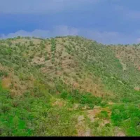 زمین کشاورزی