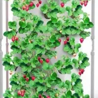 نیازمند سرمایه گذار در گلخانه هیدروپونیک مدرن|فعالیت داوطلبانه|تهران, پاسداران|دیوار