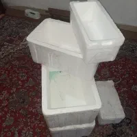 یخدان یونولیت