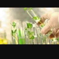 به یک مهندس گیاه پزشکی نیازمندیم