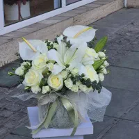 جارگل باشکوه رایکا کد ۱۸۴۰ گلاریس