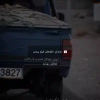کبوتر|پرنده|نقده, |دیوار