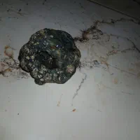 سنگ مشکوک به شهاب سنگ