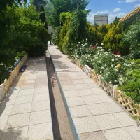 زمین کوه سفید خیابان دام و طیور