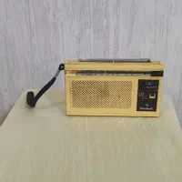 اجناس قدیمی|مجسمه، تندیس، ماکت|یزد, |دیوار