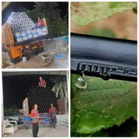 نوارتیپ لوله قطره ای پلی اتیلن ارسال رایگان