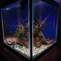 آکواریوم شیشه ۶ میل با تمامی وسایل|ماهی|کرمان, |دیوار