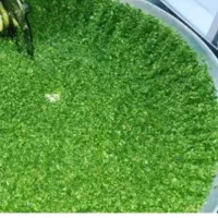 سبزی خورشتی