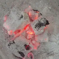 زغال مجلسی وکبابی بدون واسطه