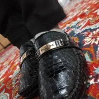 کفش ورنی  پسرانه|کیف، کفش، کمربند|مشهد, کوشش|دیوار