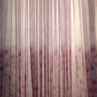 دوعددپرده اتاق خواب