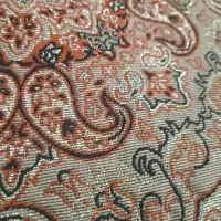 نظافت داخل منزل  وکارهای شخصی و غیره