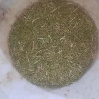 خار شتر فروشی