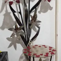 شب خواب