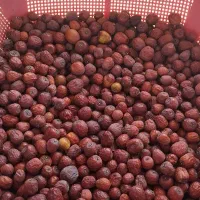 عناب امسال