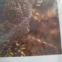 طرح نقشه ببر تابلو فرش