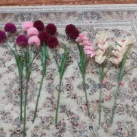 گل مصنوعی|گل مصنوعی|خوی, |دیوار