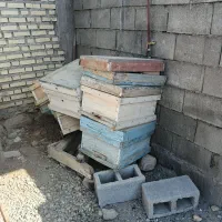 تعدادی کندو و یه عسل گیر|عمدهفروشی|باشت, |دیوار