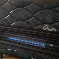 بخاری ایران شرق