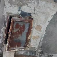 کبوتر|پرنده|شال, |دیوار