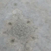 فرش 9 متری 1000 شانه 3000 تراکم در حد نو|فرش|گلبهار, شهر جدید گلبهار|دیوار