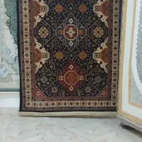 فروش فرش های نو و در حدنو در هر رنگ و تراکم و مدل|فرش|میاندوآب, |دیوار
