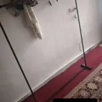 رگال