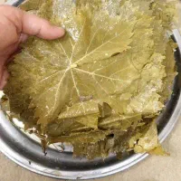 برگ شور