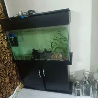 آکواریوم