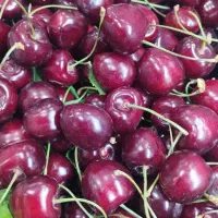 واگذاری میوه فروشی جا افتاده