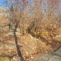 فروش باغ ویلا.گل مکان اسجیل .سلمان اباد.