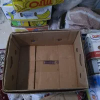 کارتون موزی