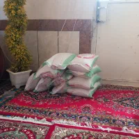 برنج چمپا وشمیم