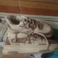 کفش|کیف، کفش، کمربند|مشهد, طبرسی شمالی|دیوار