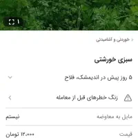 سفارش سبزی خورشتی با کیفیت بالا عطر و بوی عالی