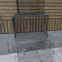قفس پرنده....4
