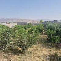 فروش زمین ۵۸۵ متری|فروش زمین و ملک کلنگی|ایذه, |دیوار