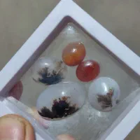 سنگ شجر اصل و عقیق