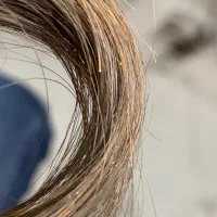 خدمات تخصصی با قیمت منصفانه