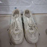 کتونی|فعالیت داوطلبانه|نسیمشهر, |دیوار