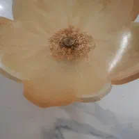 میوه خوری و ظرف رزینی به هر مدلی دوست دارید|ظروف سرو و پذیرایی|تهران, شهرک فردوس (حسینی)|دیوار