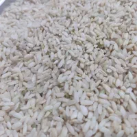 برنج چمپا|خوردنی و آشامیدنی|چیتاب, |دیوار